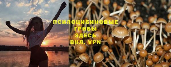 2c-b Армянск