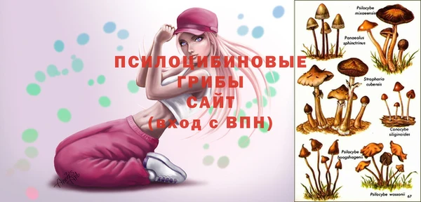 2c-b Армянск